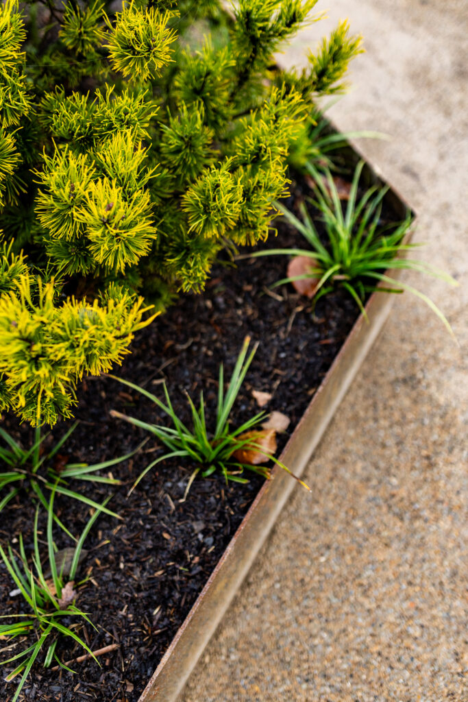 julechristoffersphotographyxnoordskhuusthuelsfelde-39